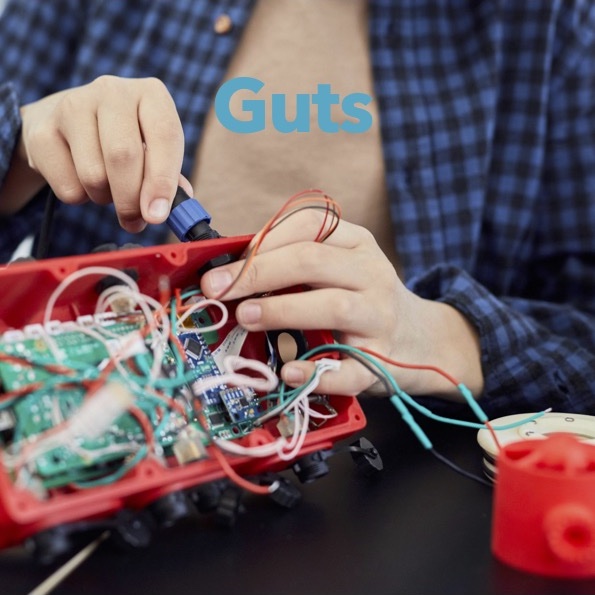 Conversation Cards - Guts