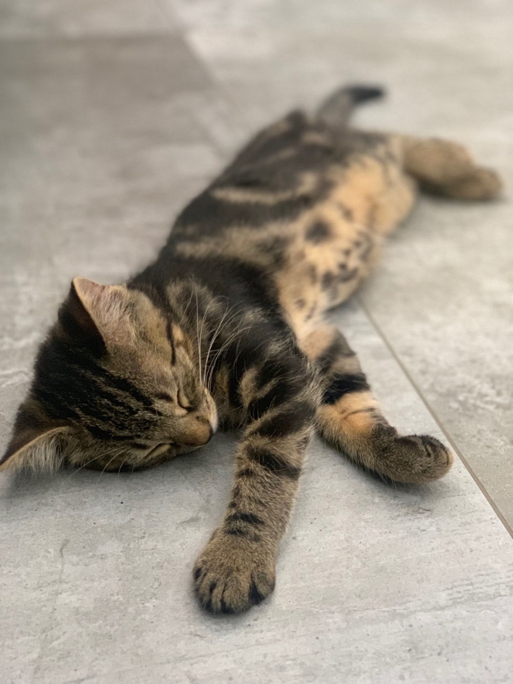 o potędze bycia sympatycznym